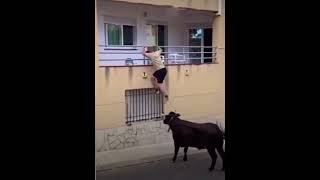 ¡Increíble Momento🐂🔥Un Toro Sube a la Pared para Alcanzar a un Aficionado en la Ventana😱 toros [upl. by Ramel]