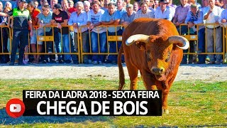 CHEGA DE BOIS  FEIRA DA LADRA 2018  SEXTA FEIRA [upl. by Publias]