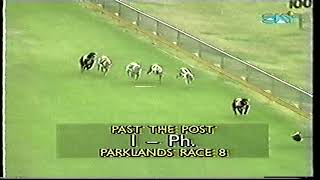 Gold Coast Greyhounds Cup amp Stayers Cup Wed 30 July 1997 [upl. by Faye]