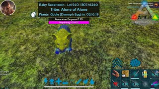 BREEDING AND IMPRINTING SABERTOOTH ARK SURVIVAL EVOLVED MOBILE [upl. by Ggerc]