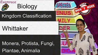 Whittaker 5 Kingdom Classification  Monera Protista Fungi Plantae Animalia [upl. by Metts904]