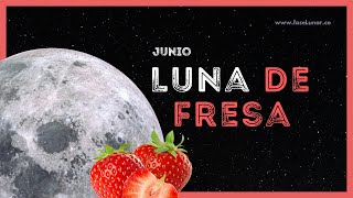 Luna de Junio 🌿🌕 La Revitalizante Luna de Fresa y su influencia en nosotros 🍓 Luna hoy luna [upl. by Limber]