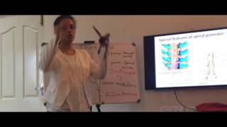 Anatomy of Spinal cord  Part I  by Dr Vijaya [upl. by Chemosh]