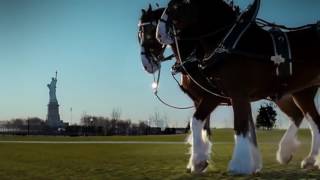 Budweiser Clydesdales 911 Tribute Ad Super Bowl 2011 [upl. by Jeffrey]