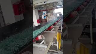 glass cullet running conveyor [upl. by Franzen]