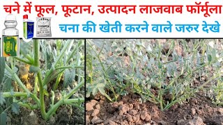 चना में फूल फूटान का स्प्रे।chana me phool ka spray।chana flowring spray।chana me konsa spray kare। [upl. by Metabel179]