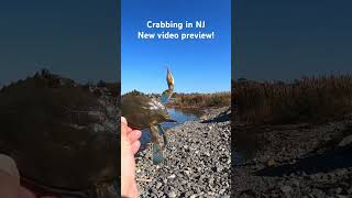 Crabbing at Matt’s Landing NJ  FULL VIDEO PREVIEW gopro crabbing njshore fishing newjersey nj [upl. by Elwira]