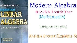 Abelian Groups Example 3  Modern Algebra  BScBA Mathematics Fourth Year TU [upl. by Miarhpe789]