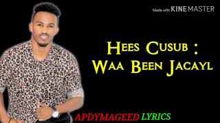 SACIID TAARIIKH HEES CUSUB WAA BEEN JACAYL lyrics 2020 HD [upl. by Etnaed]