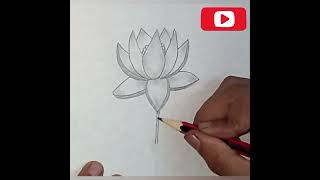 From quotWquot to waterlily drawing youtubeshorts ytshorts shorts easydrawingforbeginners [upl. by Suriaj]