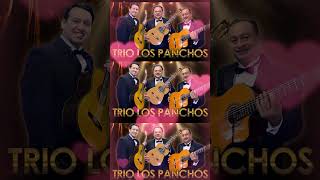 TRÍO LOS PANCHOS  MUSICA LATINOAMERICANA TRIO DE MEXICO SUS 50 MEJORES BOLEROS DE TRÍO LOS PANCHOS [upl. by Tallula958]