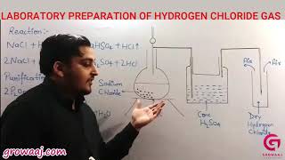 General Preparation Of Hydrogen Chloride Gas Laboratory Preparation Of Hydrogen Chloride Gas [upl. by Iphigenia944]