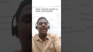 Water vascular system vs water canal system [upl. by Hedda741]