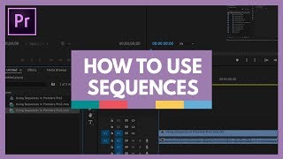 How to Use Sequences in Premiere Pro  for Newbs [upl. by Yeslrahc]