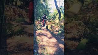 Dad log jump haldon off piste mtb mountainbikejumps ytshort mtbjumps [upl. by Irik]