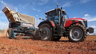 Massey Ferguson 8S Harvesting Peanuts [upl. by Issie]