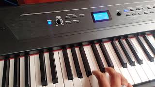 Alesis recital pro [upl. by Ameehsat]