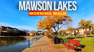 Morning Walk around the Lake at Mawson Lakes  Adelaide 4K [upl. by Ettenoitna886]