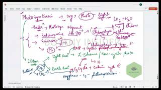 Photosynthesis  mechanism  Overview  Z scheme  C3 Cycle  CSIR NET [upl. by Kcor]