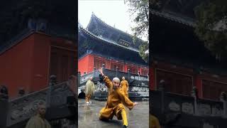 Shaolin Temple Kung Fu Demonstration ✨🤗🧐 shorts shaolin wushu [upl. by Gayel88]