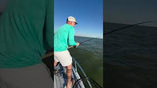 Catching a Bull Red on Live Shrimp [upl. by Arvie]