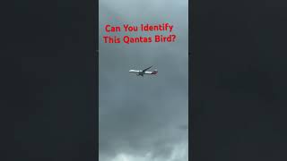 Can You Ident shorts aviation planespotting flying qantas flying airplane travel vacation [upl. by Eesyak]