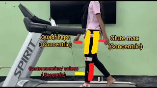 Kinovea Gait Analysis  Biomechanics bhpiposchool [upl. by Bergquist]