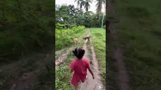 Niece myplace reelsyoutubeshorts provincelife shortsfeed trending love [upl. by Madid]