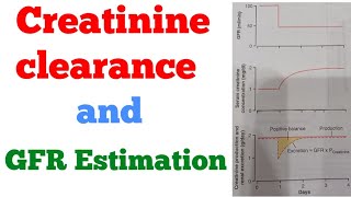 Creatinine clearance and GFR Estimation Renal system [upl. by Lowenstein639]