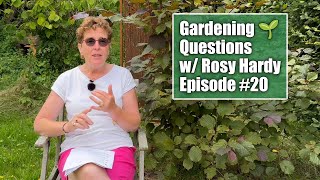 Struggling With Hydrangea Cuttings Getting Rid Of Bindweed  Gardening Questions w Rosy Hardy [upl. by Noloc181]