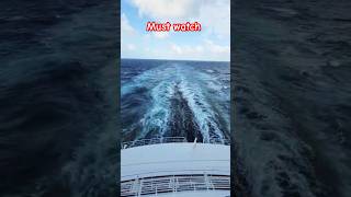 How Dangerous Is That Massive Wave Behind the Cruise Ship ship massivewave e dangerouswaves [upl. by Hasila227]