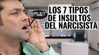 Los 7 Tipos De Insultos De Los Narcisistas [upl. by Yleme]