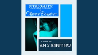 An S Arnitho Stereomatic CEO Rework [upl. by Eizzo]