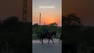 Patan to ramdevapir horsh riding 🐎 💐 🙏 Sanchore 🐎🙏💐 trending horshlover horselover shorts [upl. by Weisberg]