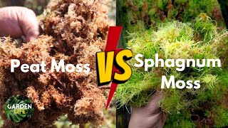 Peat Moss or Sphagnum Moss You’ll Be Surprised In The Differences [upl. by Siravart]