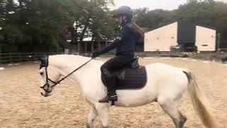 Erider dressage test novice 3a [upl. by Chaunce370]