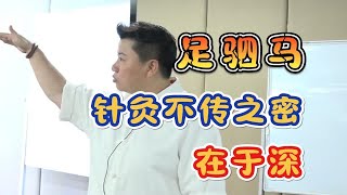 刘红云：针灸不传之密在于深，足驷马的应用。董氏针灸教学 [upl. by Aniluap]