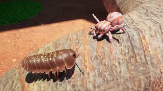 Isopod A Webbed Spinoff by Sbug Games indiegame gaming isopods [upl. by Kikelia]