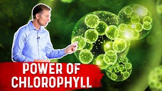 The Power of Chlorophyll for the Gut [upl. by Guthrey650]