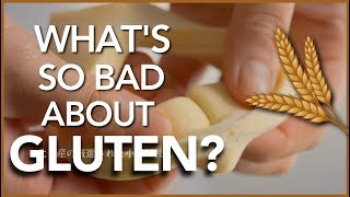 Is Gluten that bad for your health  The Science [upl. by Idalia]