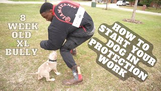 How To Start Your Dog In Protection Training [upl. by Chalmers]