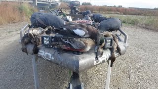 Kansas public land Duck Hunting 2023 [upl. by Fugate]