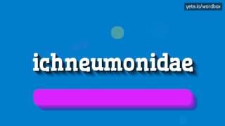 ICHNEUMONIDAE  HOW TO PRONOUNCE IT [upl. by Blase]