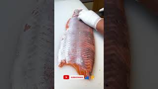 wholesalmon salmonsashimi salmoncutting salmonasmr fish [upl. by Domella95]