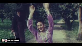 AINU ISHQ DI HATHKARI LAWAN  NASEEBO LAL  RESHAM  PAKISTANI FILM DOSA [upl. by Halac]