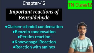 Important reactions of BenzaldehydeChapter12ChemistryTN Class12 [upl. by Nils644]