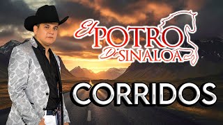 El Potro De Sinaloa  Puros Corridos Para La Raza Pesada Mix 2024 [upl. by Gerstner931]