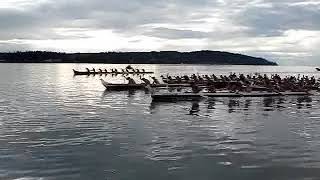 Native Lummi War Canoe Race [upl. by Adiela]