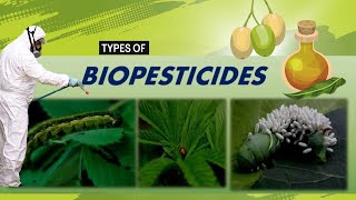 Biopesticides and its Common Types A Sustainable Solutions for Modern Agriculture [upl. by Nede]