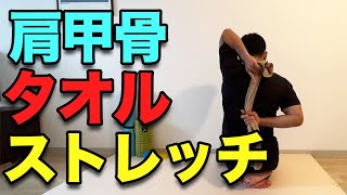 【タオルで肩甲骨ストレッチ！】４分！手の届かないところに効く！ [upl. by Fisk]